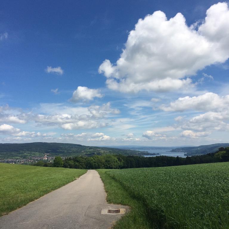 B&B Stein Am Rhein Εξωτερικό φωτογραφία